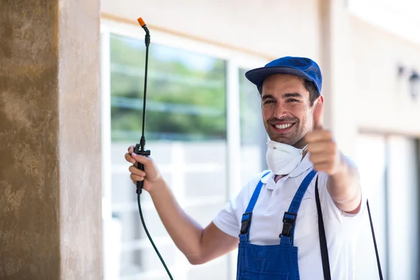 Altadena Wasp Removal