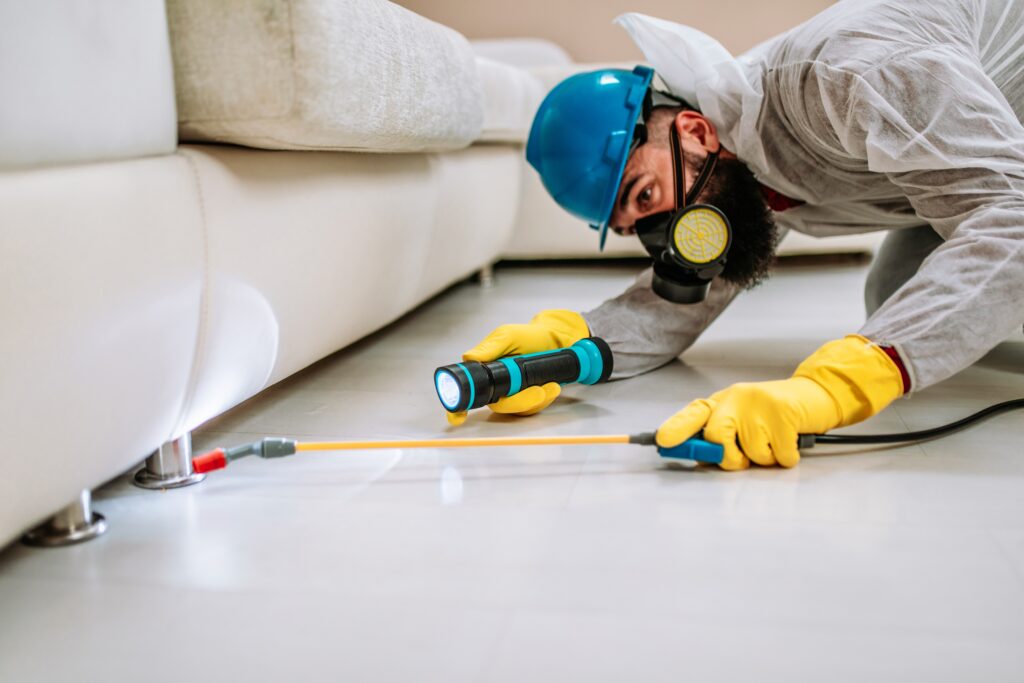 Altadena Termite Control